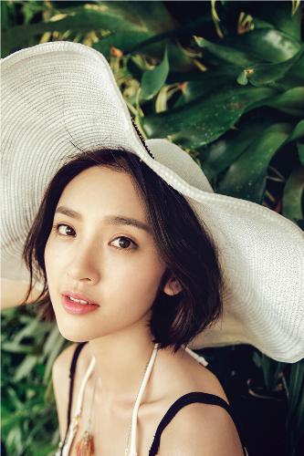 高清DVD碟片收藏指南：日韩欧美影片资源哪里找？